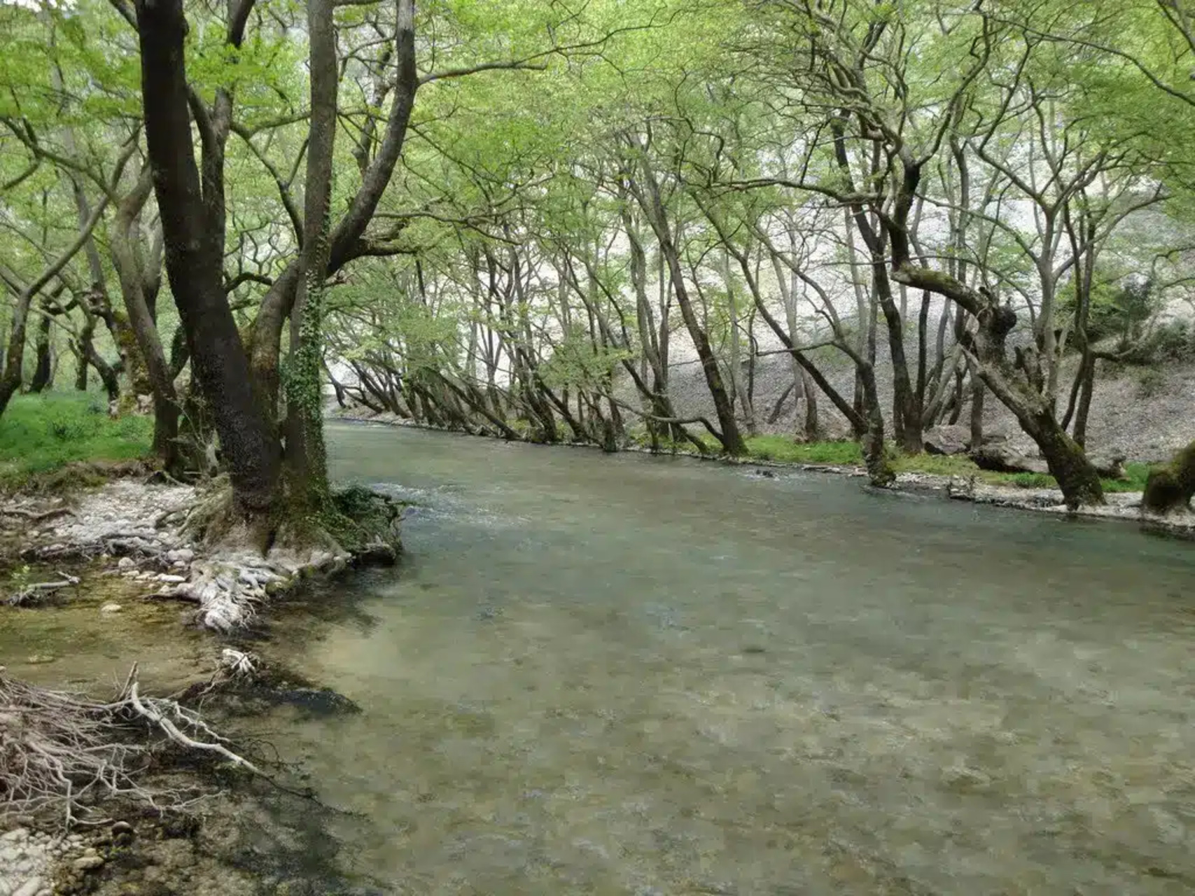 Ποταμός Λούρος στην Πρέβεζα